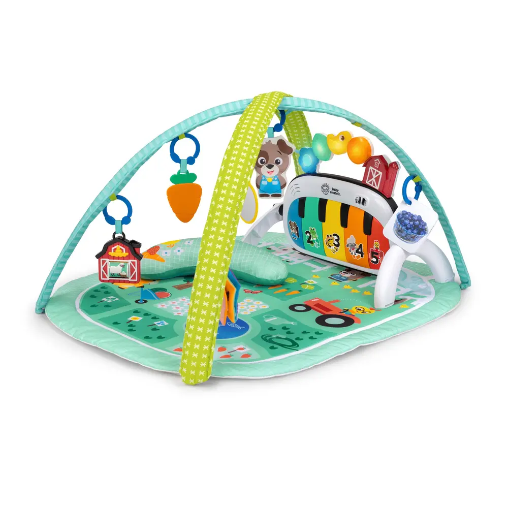 Baby Einstein 4-in-1 Kickin’ Tunes™ Musical Meadow™ Babygym Musik